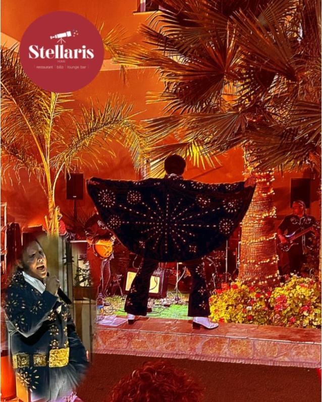 Stellaris Siderno